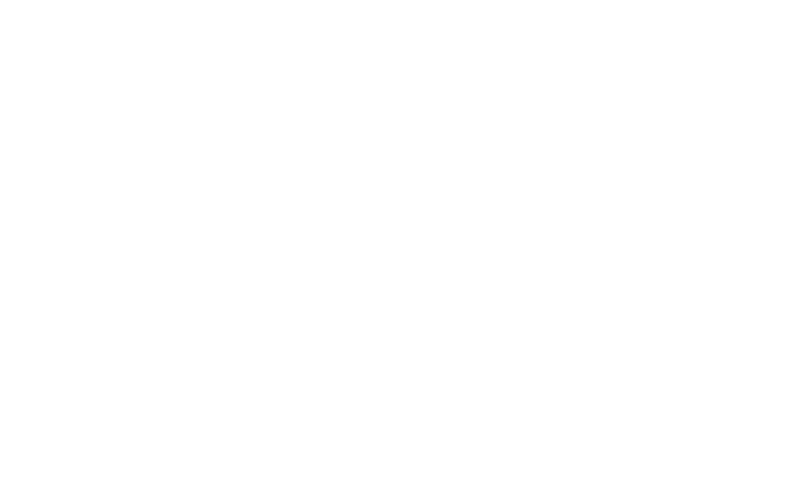 Thebe Software Logo